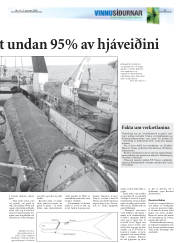 Síða 21