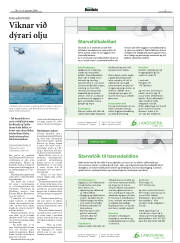 Síða 3