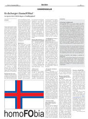 Síða 13