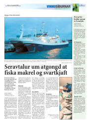 Síða 17