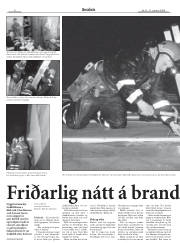 Síða 6