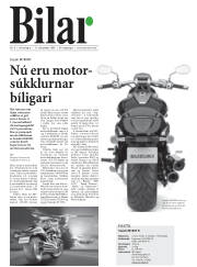 Síða 31