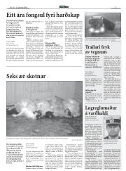 Síða 5