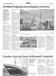 Síða 7