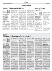 Síða 11
