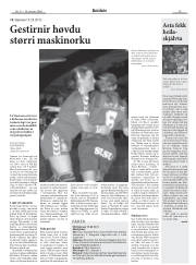 Síða 15