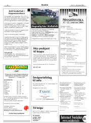 Síða 20