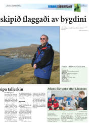 Síða 17