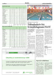 Síða 20