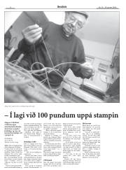 Síða 8