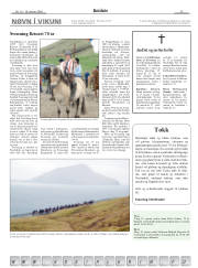 Síða 13