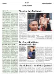 Síða 14