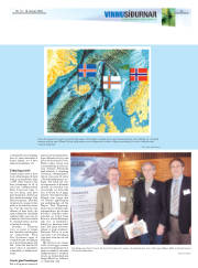 Síða 17