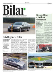 Síða 19