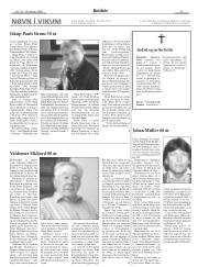 Síða 13