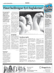 Síða 31