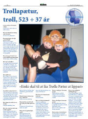 Síða 30