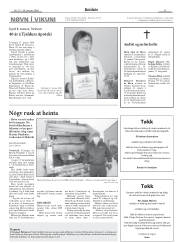 Síða 11