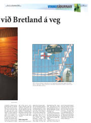 Síða 15