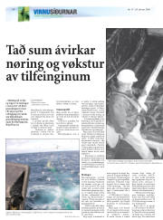 Síða 20