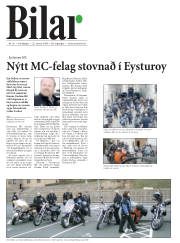 Síða 36