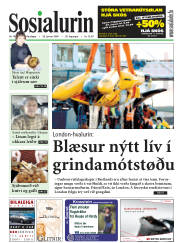 Síða 1