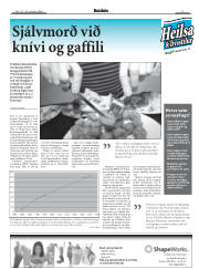 Síða 17