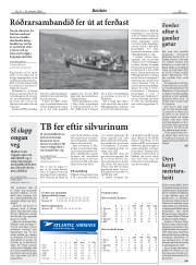 Síða 31