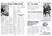 Síða 11