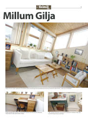 Síða 17