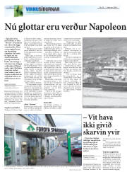 Síða 8