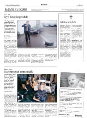 Síða 13