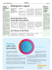 Síða 15