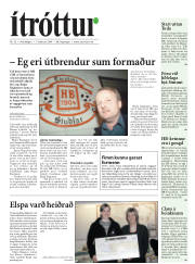 Síða 17
