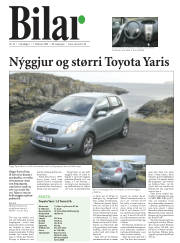 Síða 19