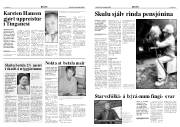 Síða 3