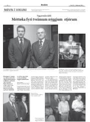 Síða 12