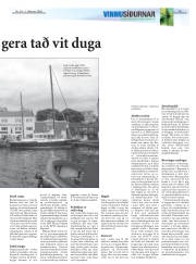 Síða 19