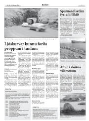 Síða 7