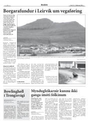 Síða 8