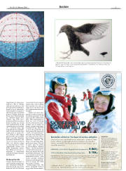 Síða 3