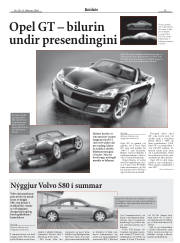 Síða 15