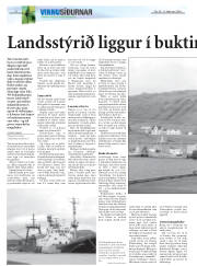 Síða 8