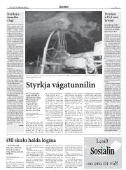 Síða 11