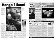 Síða 6