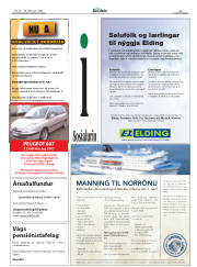 Síða 25