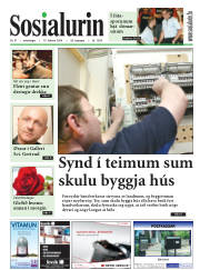 Síða 1