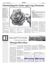 Síða 11