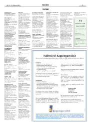 Síða 33
