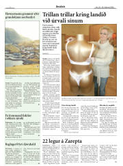 Síða 2